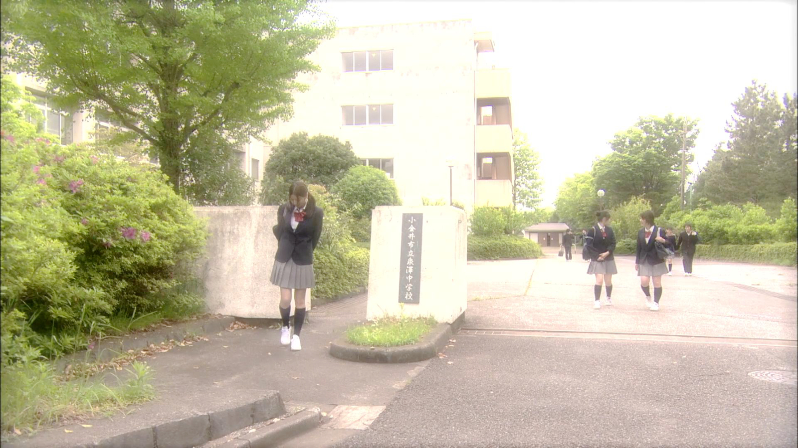 小礼持信等小健