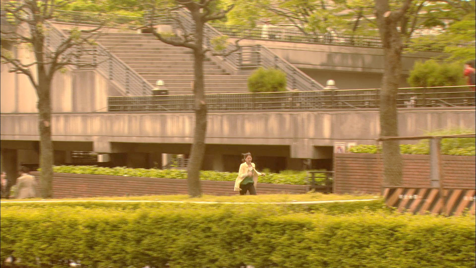 礼跑去找健