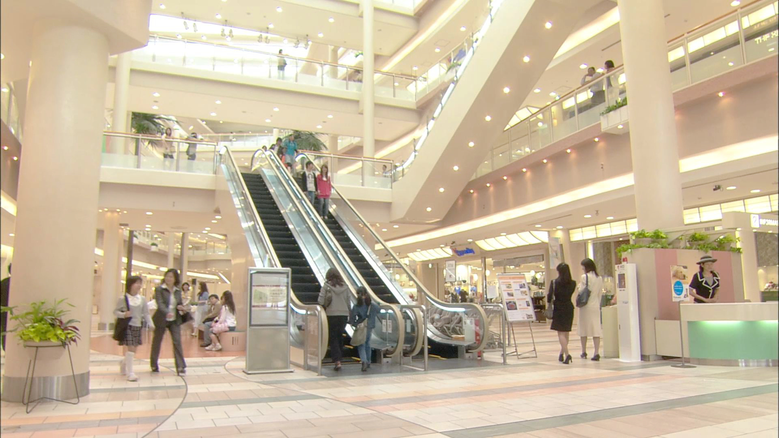 陪礼逛商场