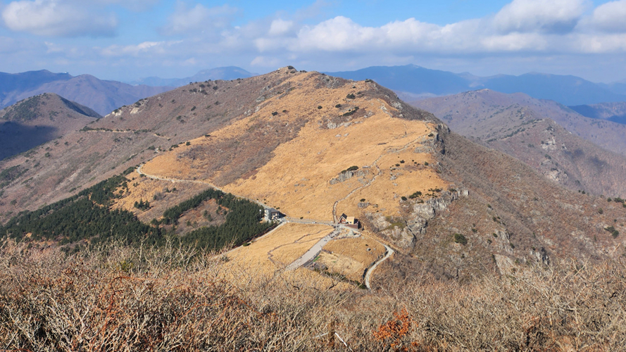 肝月岭