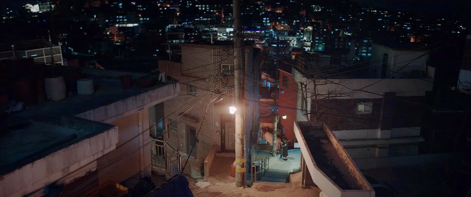 海娜亲吻东植