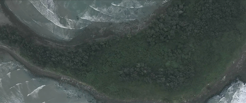 蓝鲸岛远景
