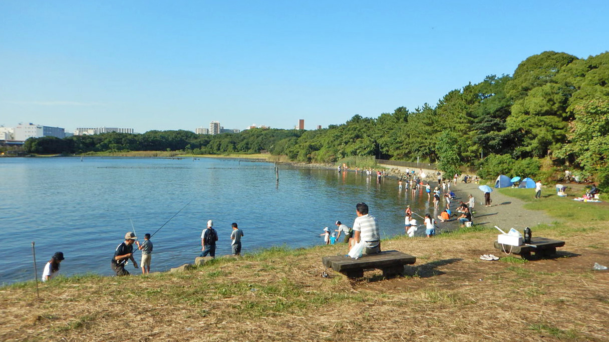 大井码头中央海滨公园