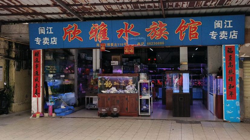 欣雅水族馆