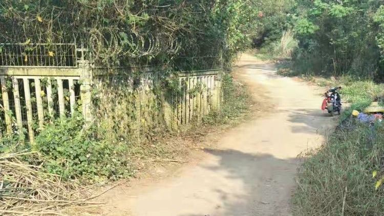 玉苍村附近高铁桥下