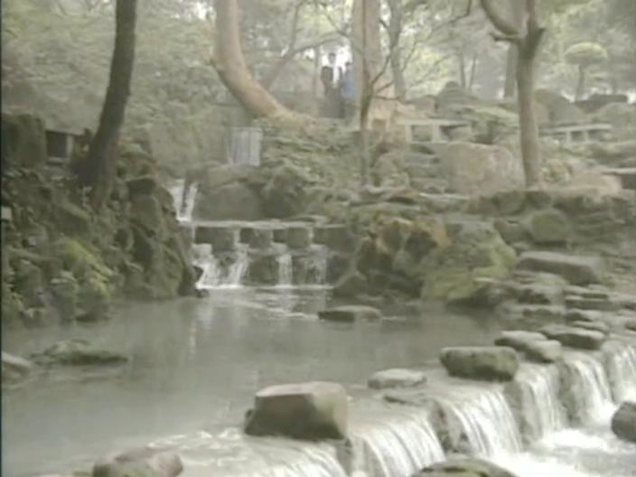 青青世纬约会