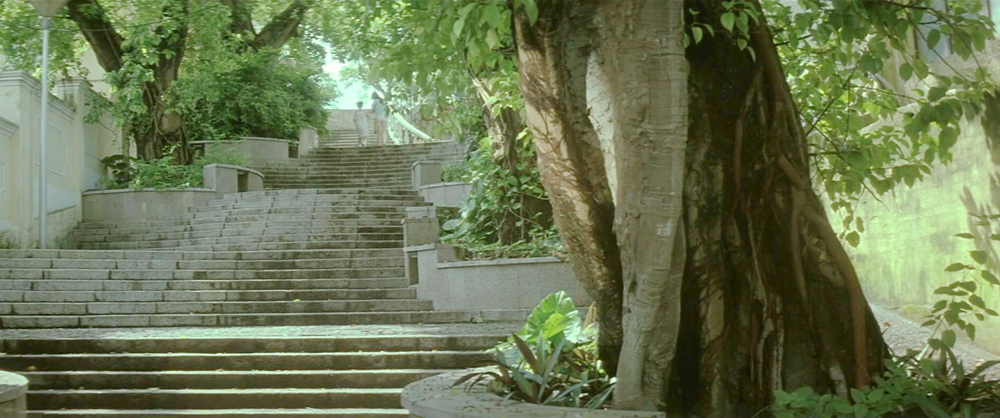 张碧欣抱起小狗