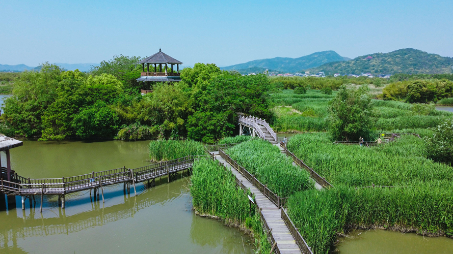 竹楼岛