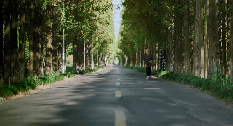 周瑾回家的路