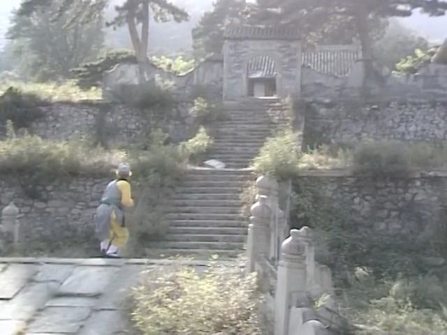 智渊寺/各种树林