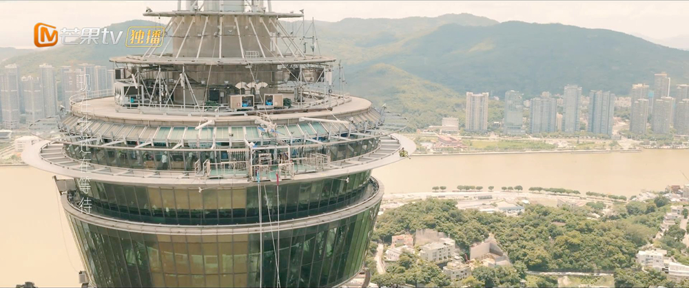 老许陪小萌空中漫步