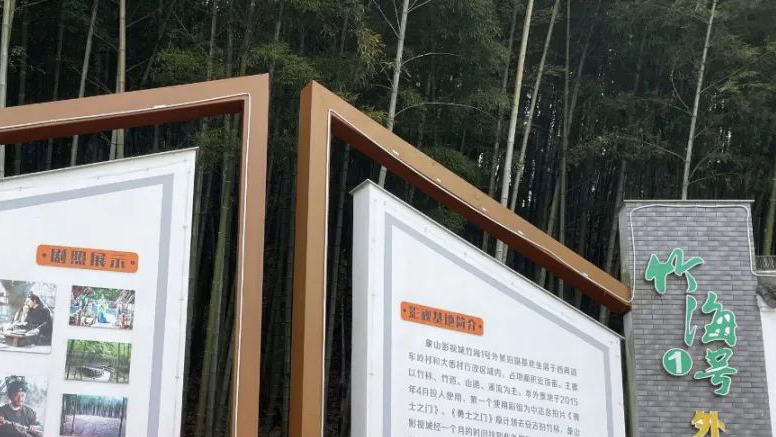 大岙竹林