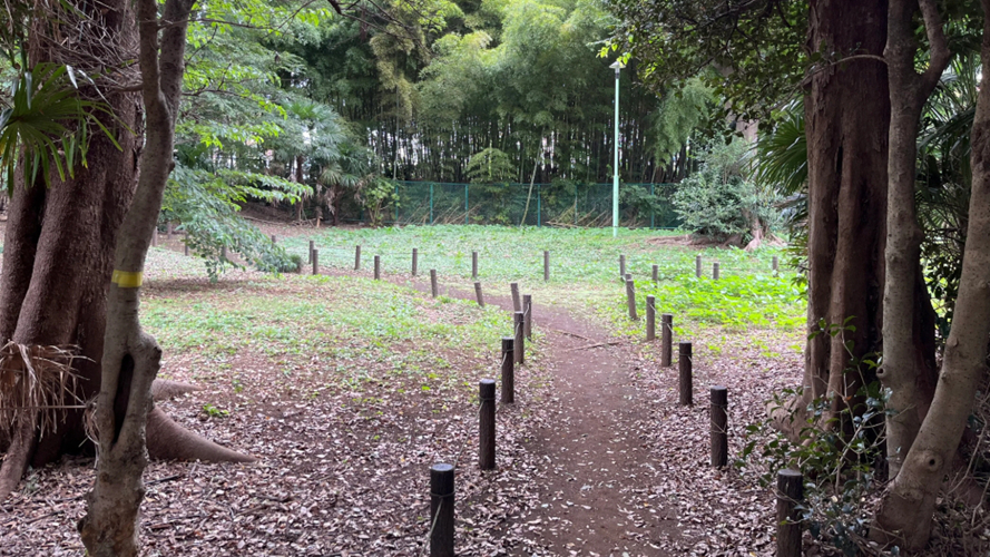 新井休憩森林