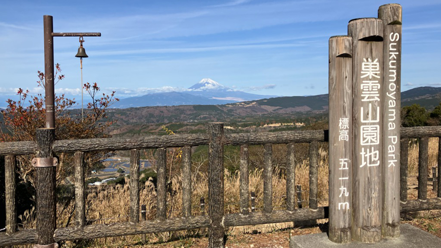巢云山园地