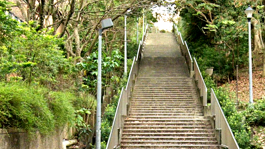 康宁大学楼梯