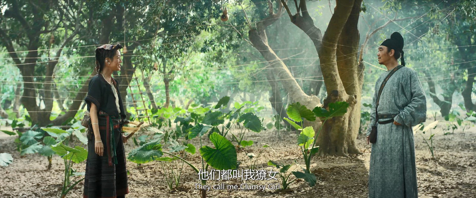 岭南荔枝园