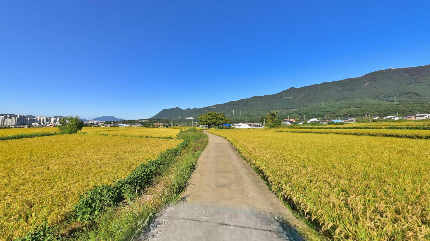 仓洞里农场路