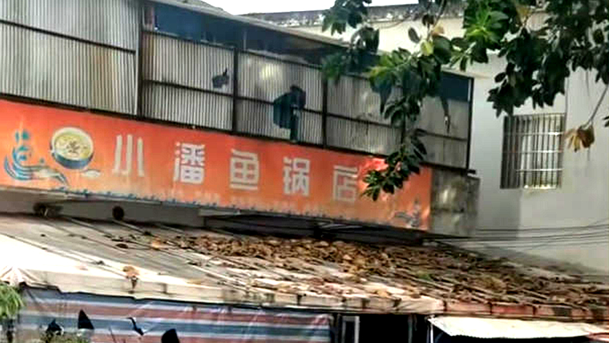 小潘鱼锅店