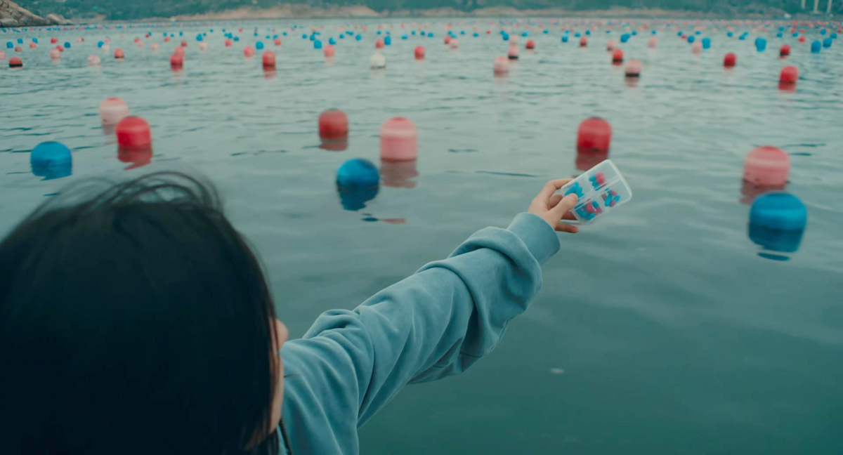 药丸海