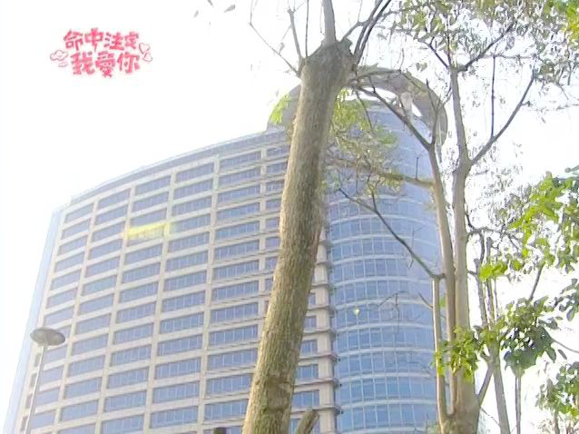 纪家魔法灵公司