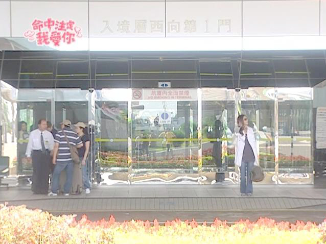 安娜回台湾