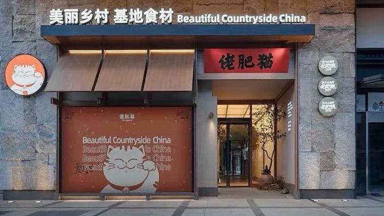 佬肥猫车墩店