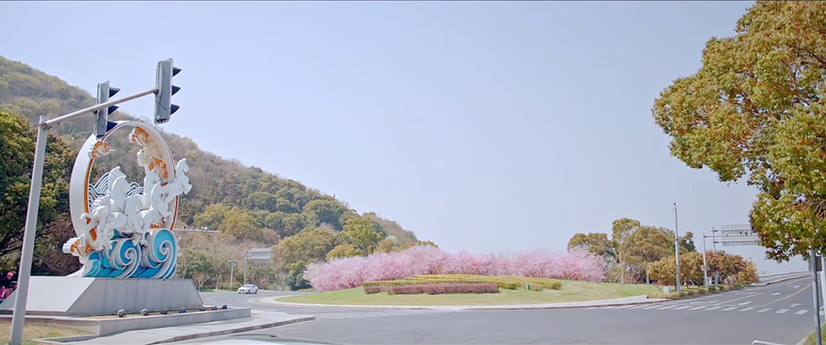 曦光停车