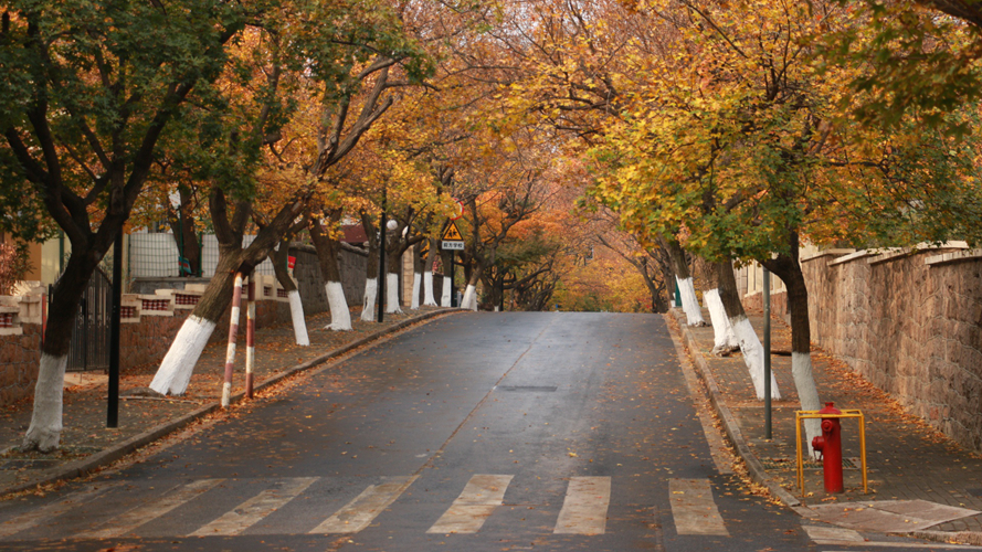 嘉峪关路