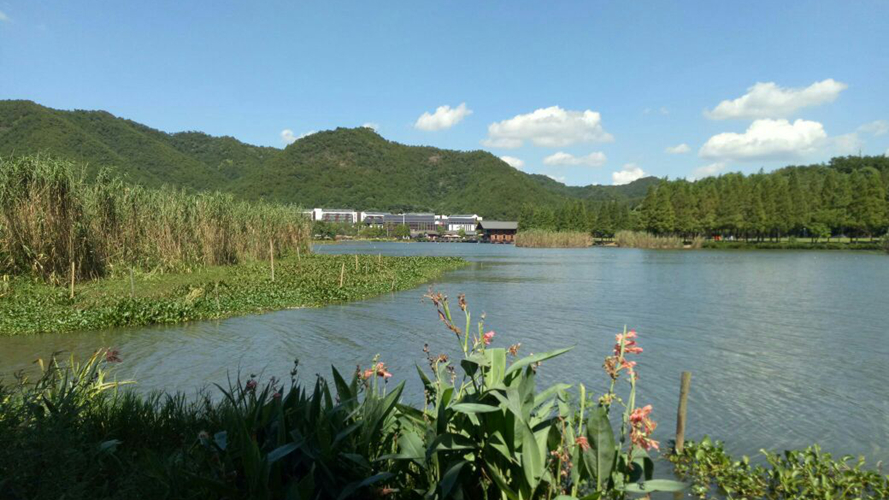 马山湿地