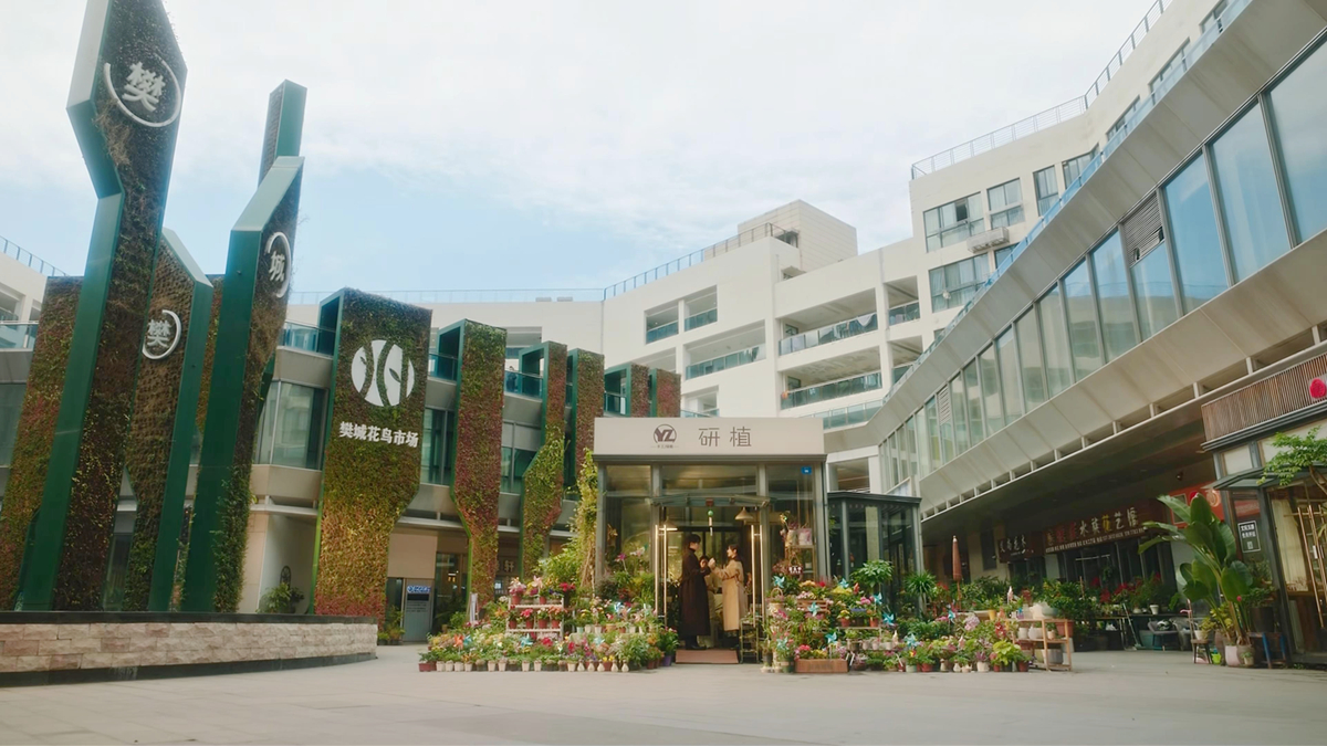花市寻卖花婆婆