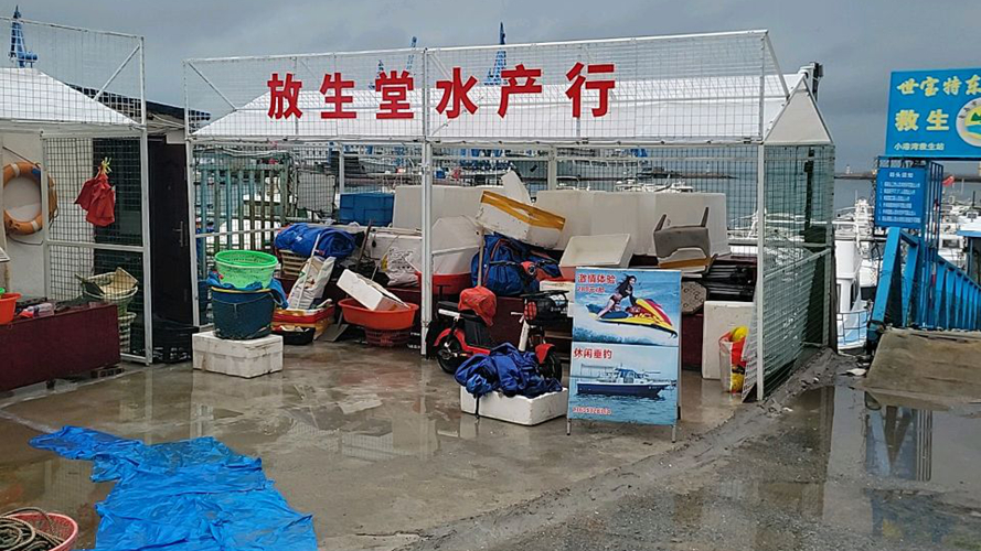 放生堂水产行