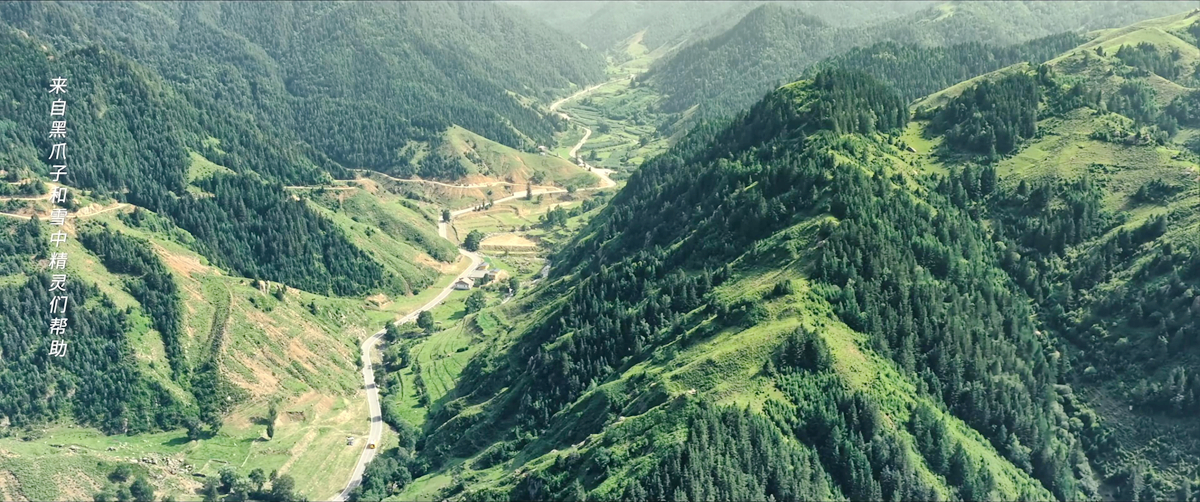 旅途