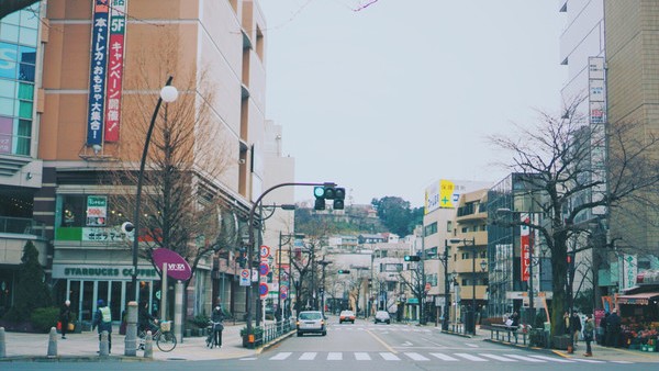 樱通街道